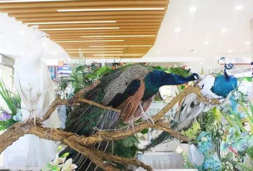 郑州公司吃瓜娱乐公司